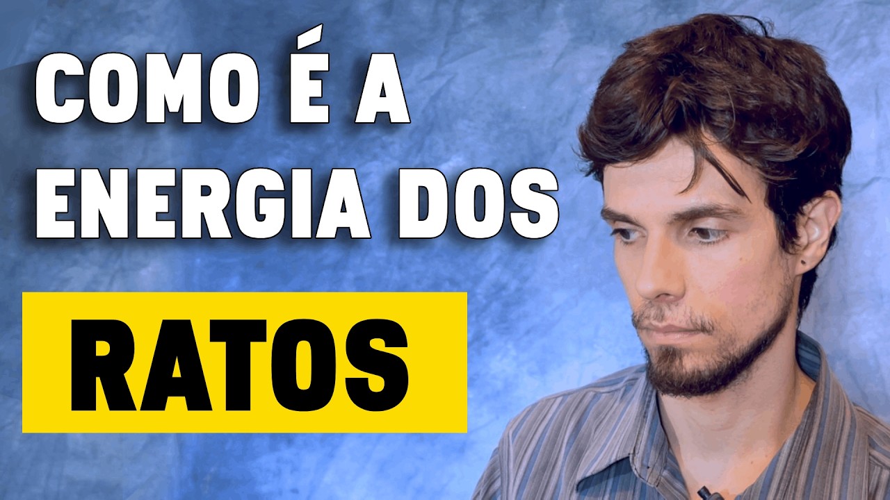 A Presença de Ratos Indica Este Tipo de Energia no Ambiente
