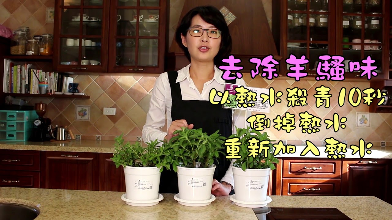 甜菊 | 泡茶香草系列 | 森林有塊田