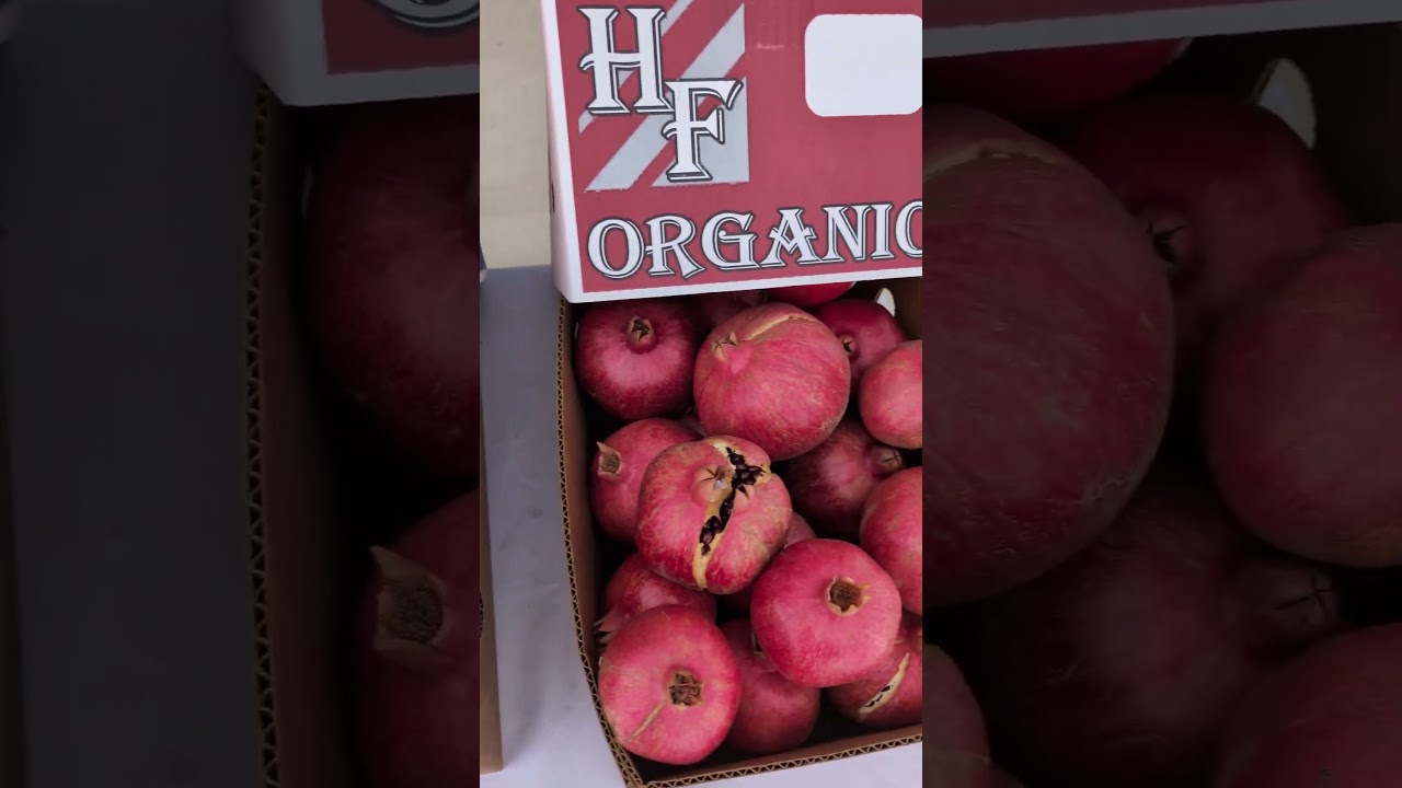 Farm Stand Opening Weekend 