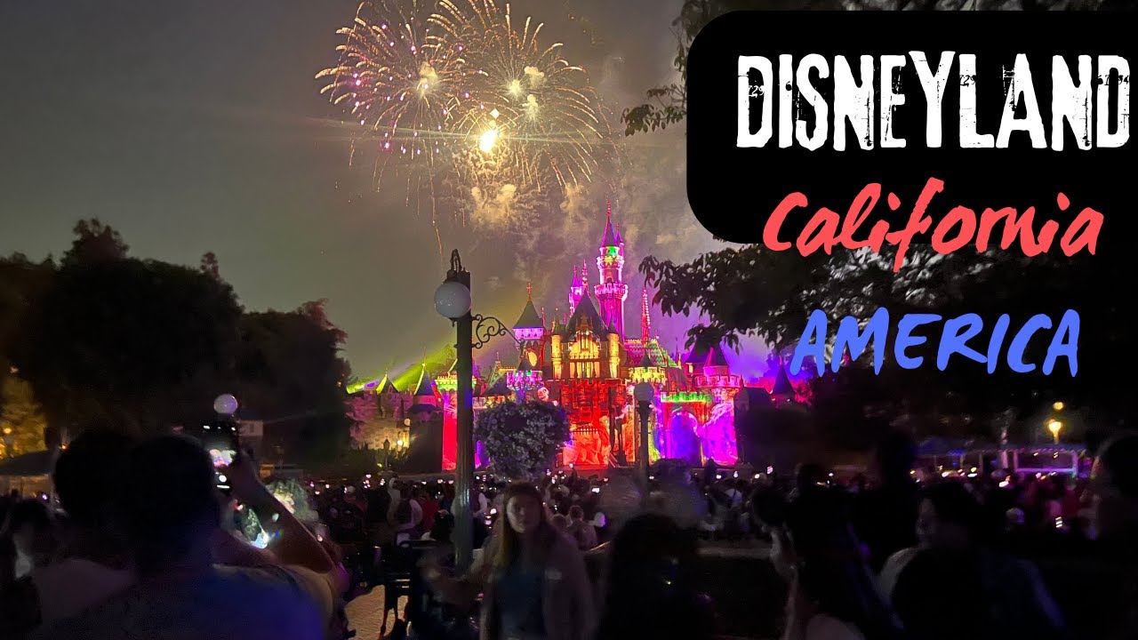 BACHON KI MAUJ IN DISNEYLAND CALIFORNIA | Lets go to Amreeka | AuranKVLOGS