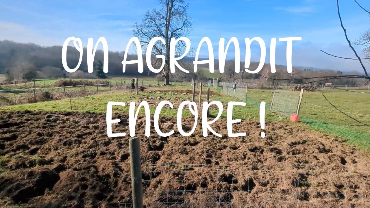 Tour du jardin et des animaux, récap des 2 derniers mois.