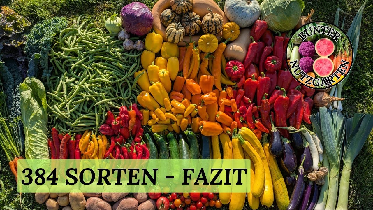 384 Sorten in einem Gartenjahr - Fazit