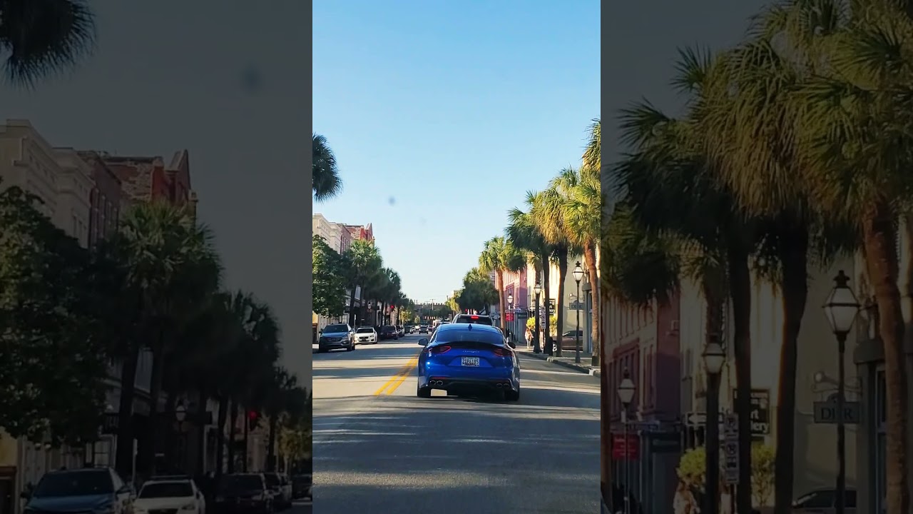 Deep Chillout Vibes - while driving on road with beautiful palm trees 🌴 🌞