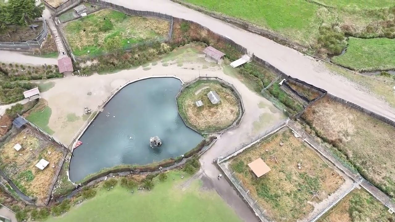 Granja Porcón - Cajamarca Perú