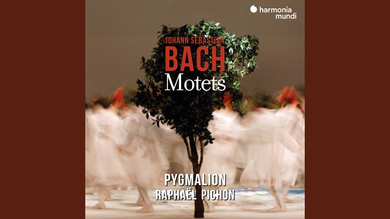 Komm, Jesu, komm, BWV 229