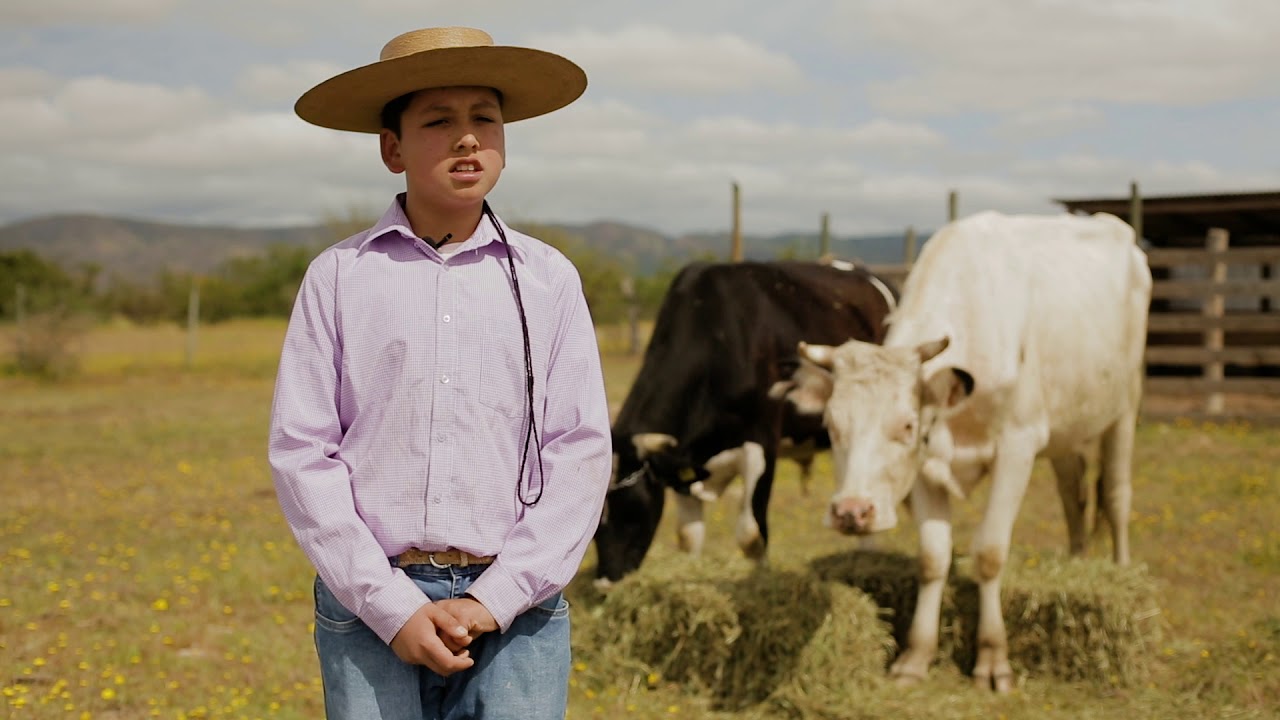 La vida en el campo en Nilahue Cornejo
