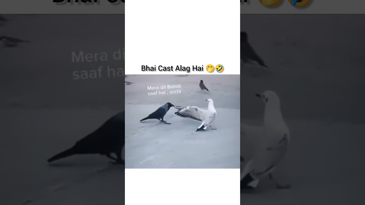 "🤣 Daily Dose of Laughter | Trending Meme Compilation 2025 | Desi Memes Reloaded"