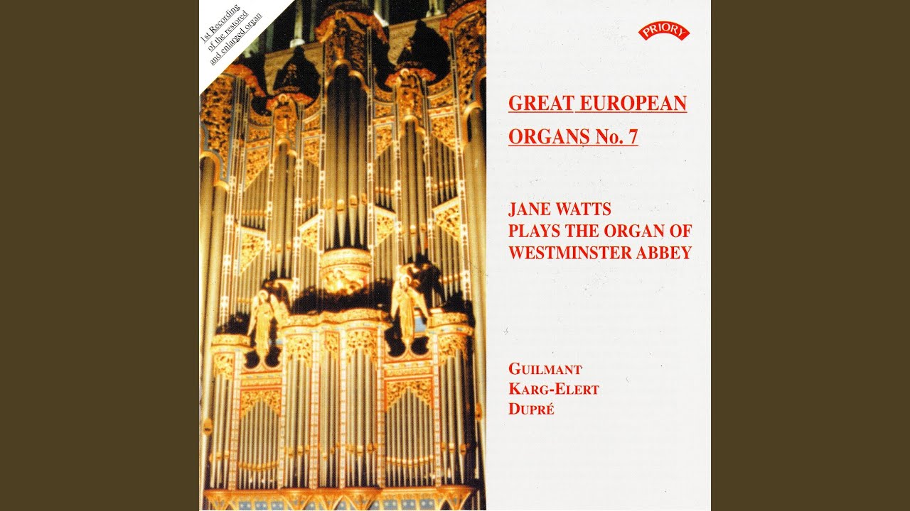 Organ Sonata No. 1 in D Minor, Op. 42: I. Introduction. Largo e maestoso - Allegro