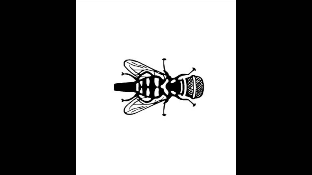 La Microfaune - Riminels