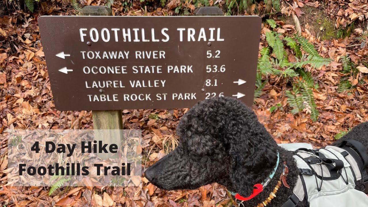 4 Day Hike On The Foothills Trail, SC