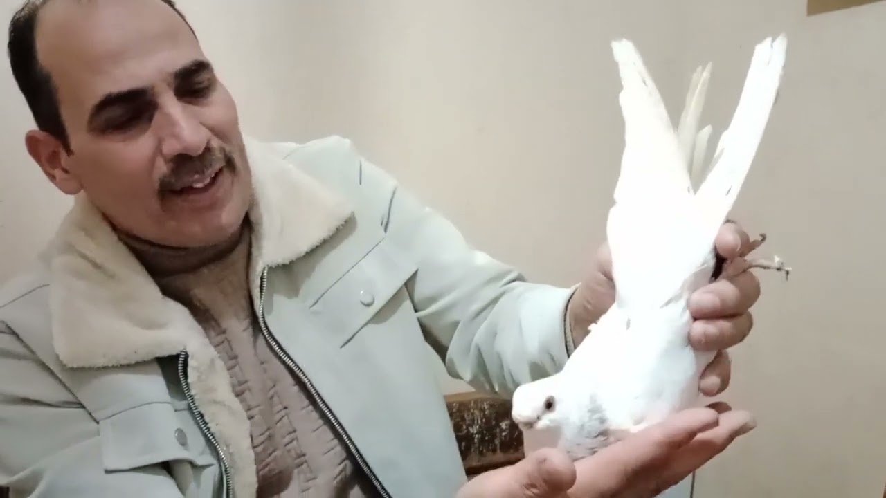 تحياتي لكل المشاهدين و المتابعين 