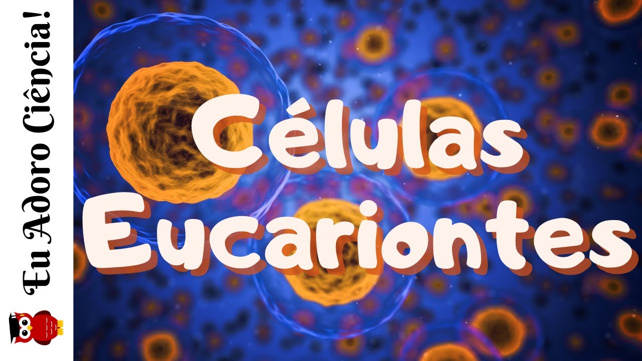 CITOLOGIA | C&eacute;lulas Eucariontes (C&eacute;lula, parte 2)