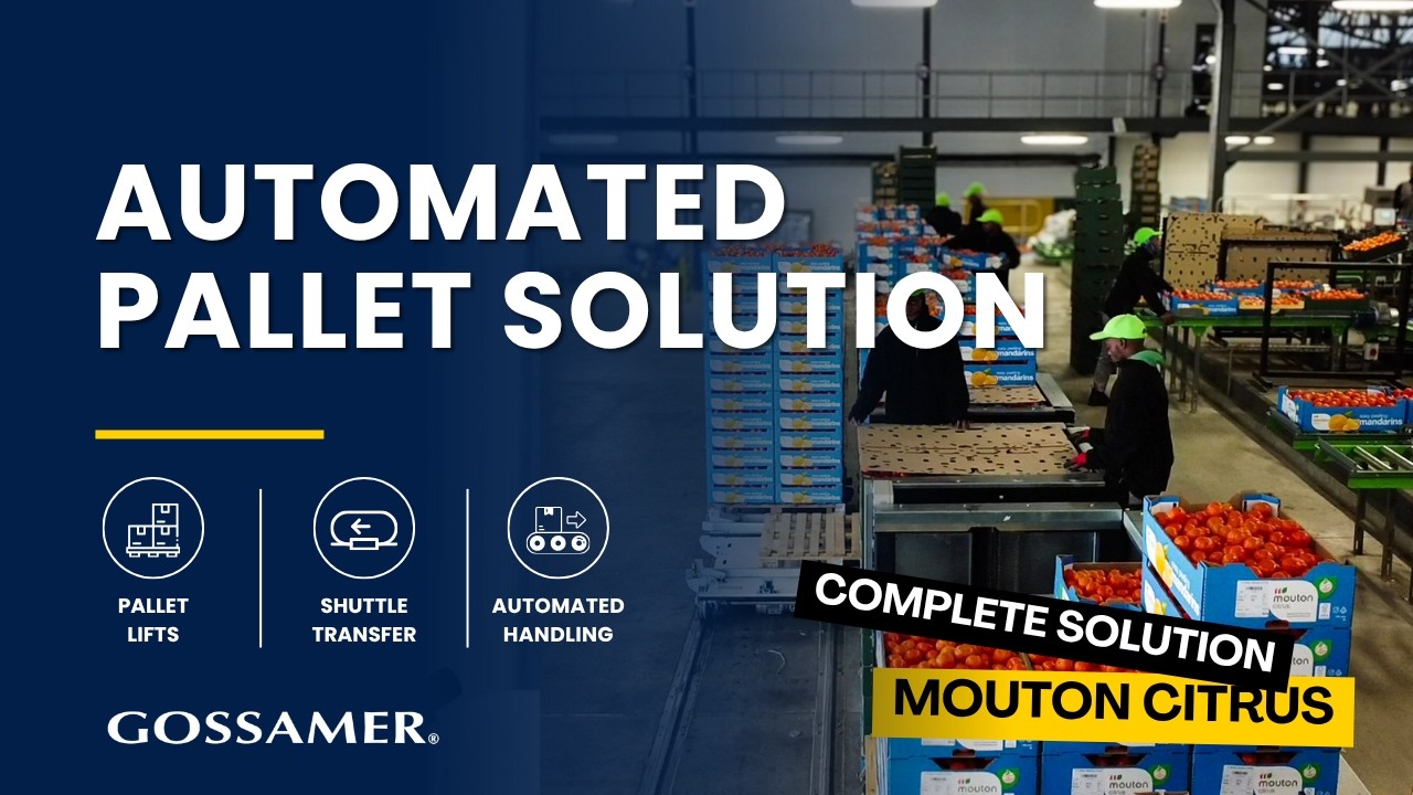 Mouton Citrus End-of-Line Packaging Solution (Citrusdal, Western Cape)