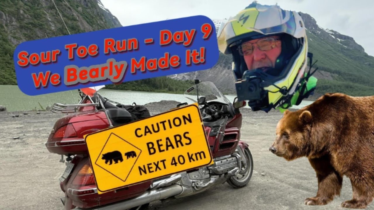 Sour Toe Run Day 9 - Lots of Bears!