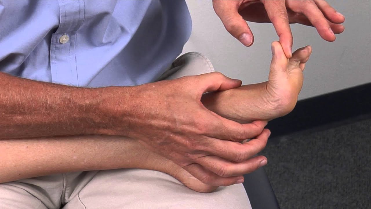 Muscles Tendons Medial Foot