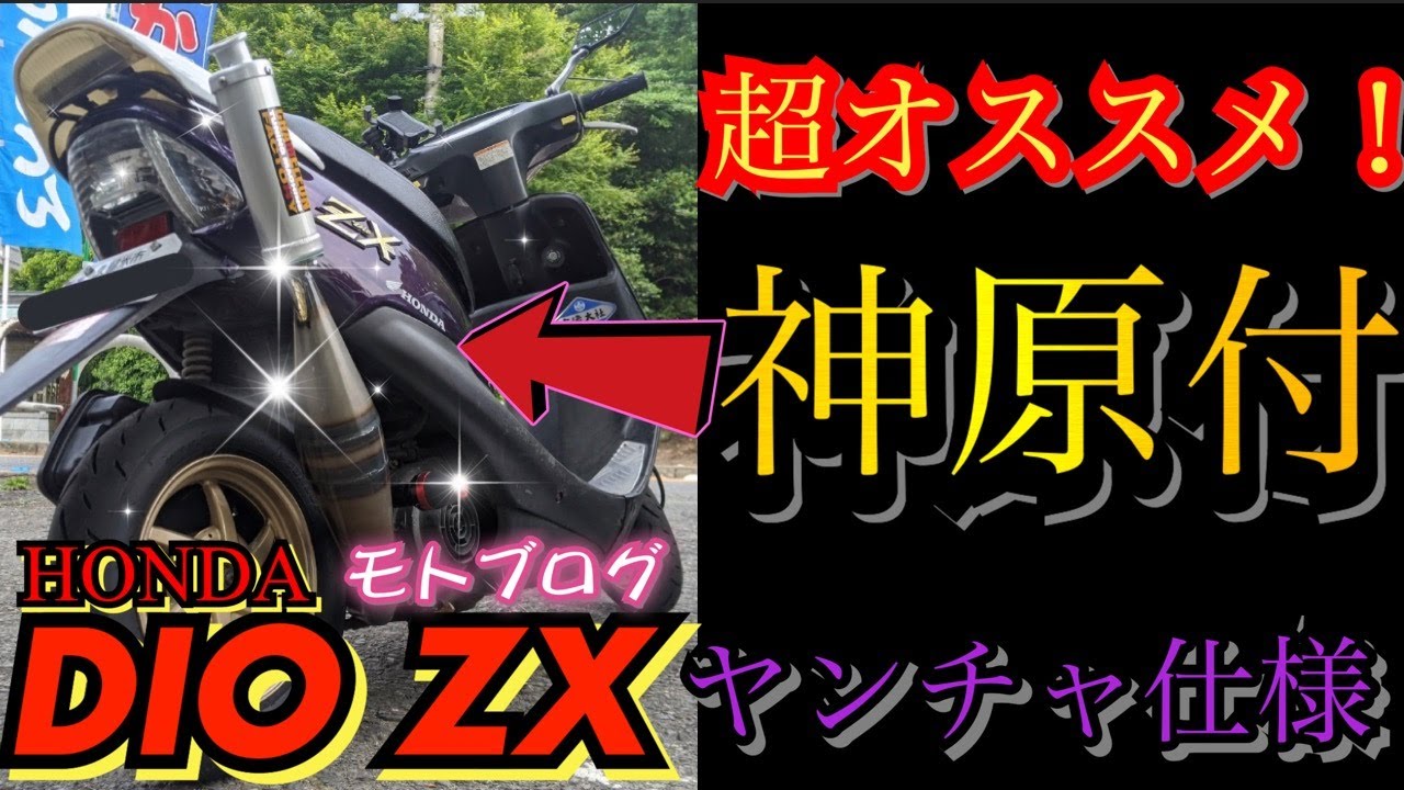 超オススメ【DIO ZX】ヤンチャ仕様が神すぎたw『モトブログ』