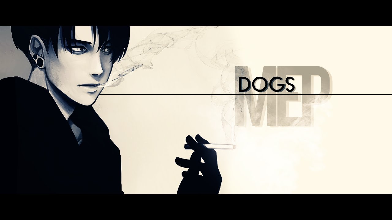 DOGS || Bishie MEP