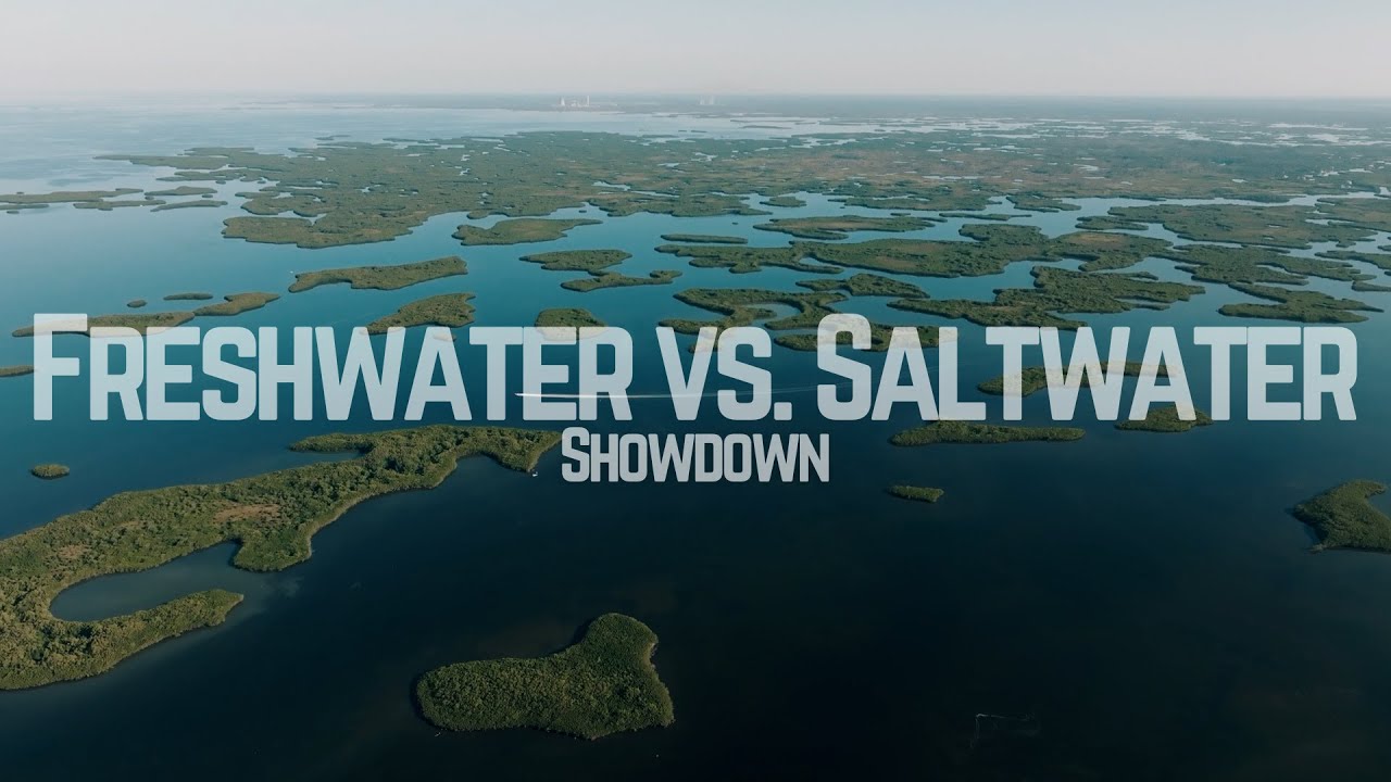 Bass Meets Inshore! Redfish, Snook & Trout on Florida's Nature Coast