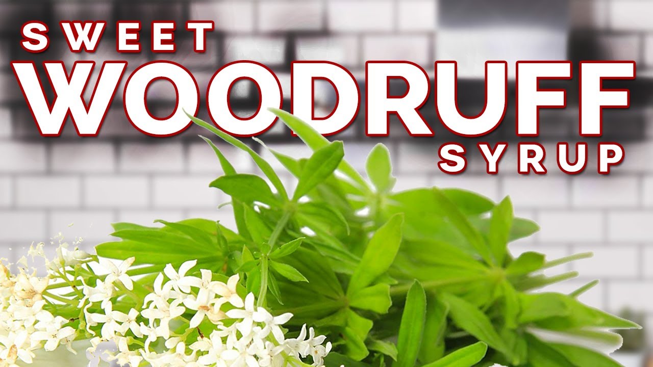Sweet Woodruff Syrup | No Food Colouring & No Cook Recipe | Waldmeistersirup & Maibowle