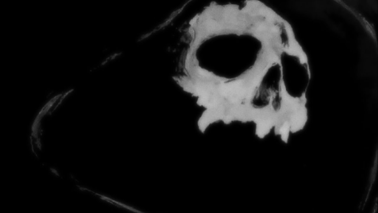 .V.L.- Skull