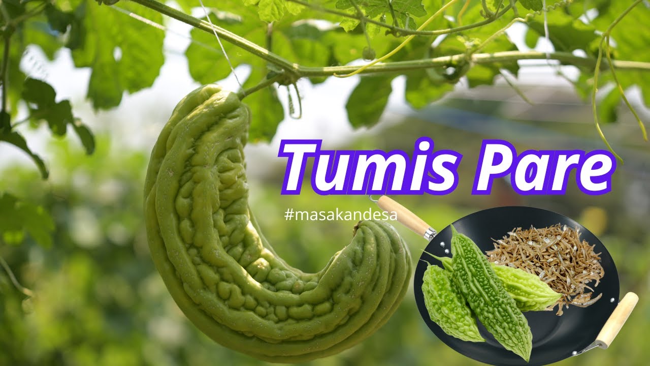 Masakan Desa : Tumis Pare, Teri dan Tempe