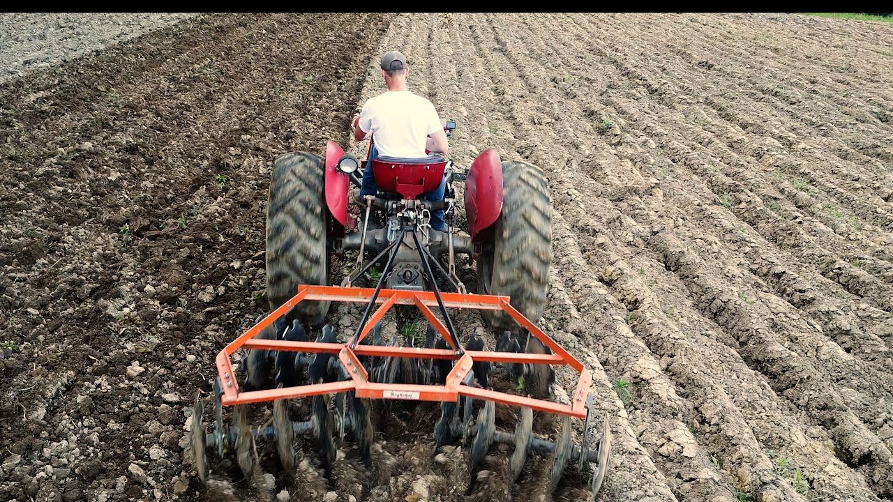 Дискование с помощью MASSEY FERGUSON 35