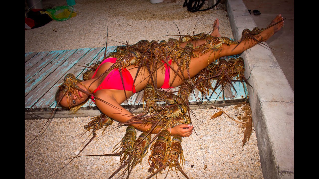 SPINY LOBSTER: CATCHING, CLEANING, COOKING, EATING!! tasty tuesday 27