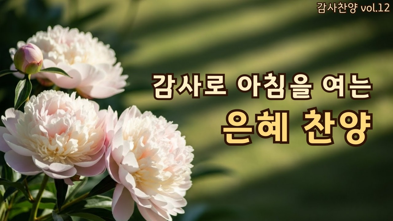 아침을 여는 평강 찬양 | 은혜로 시작하는 하루 | 평강의소리 #12