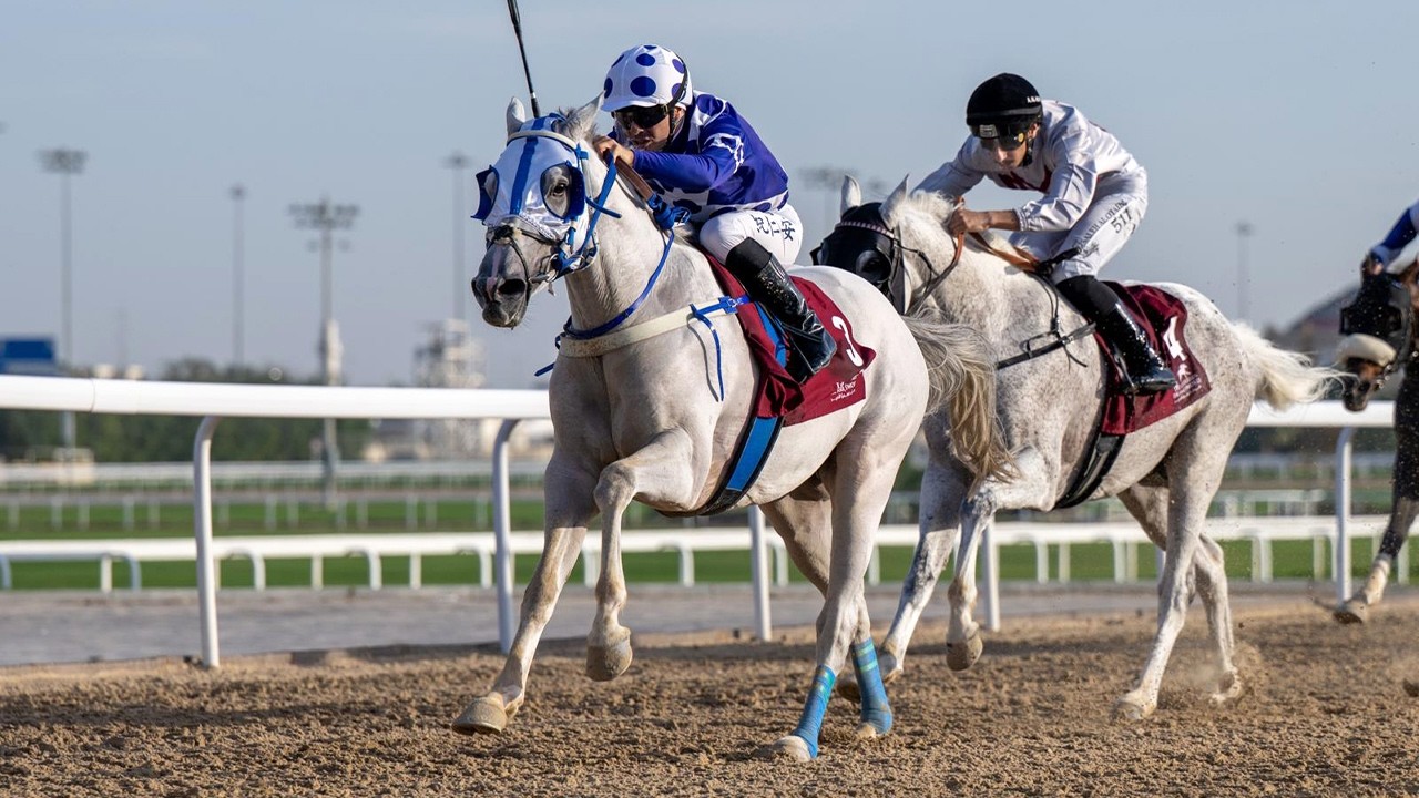 RM 49  Al Rayyan Race 3 -  H.H. The Amir Sword Festival - Day 2