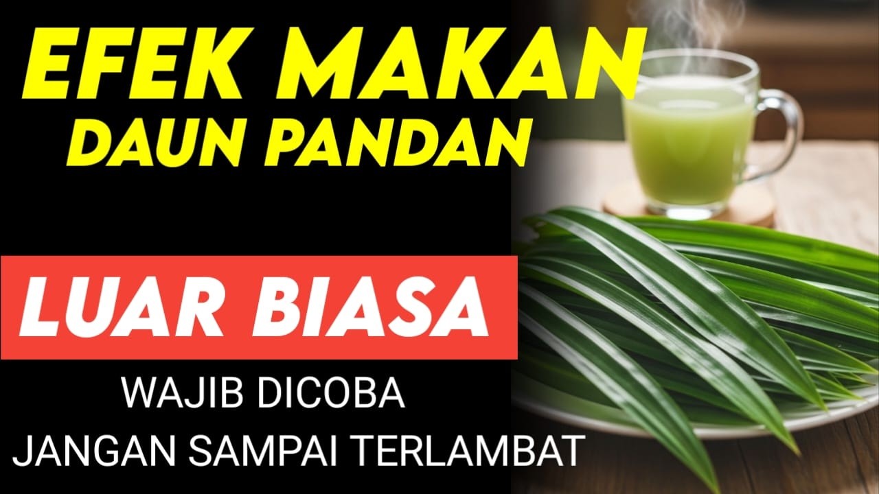 Dokter Bongkar‼️32 Manfaat Daun Pandan, Efeknya Bisa Terasa Jika Rutin Dikonsumsi