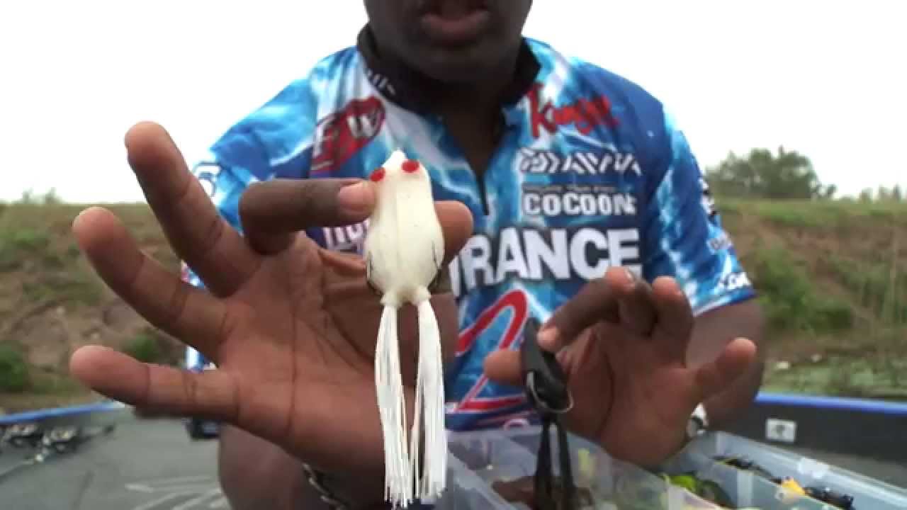 Beyond the Basics | Froggin' with Ish