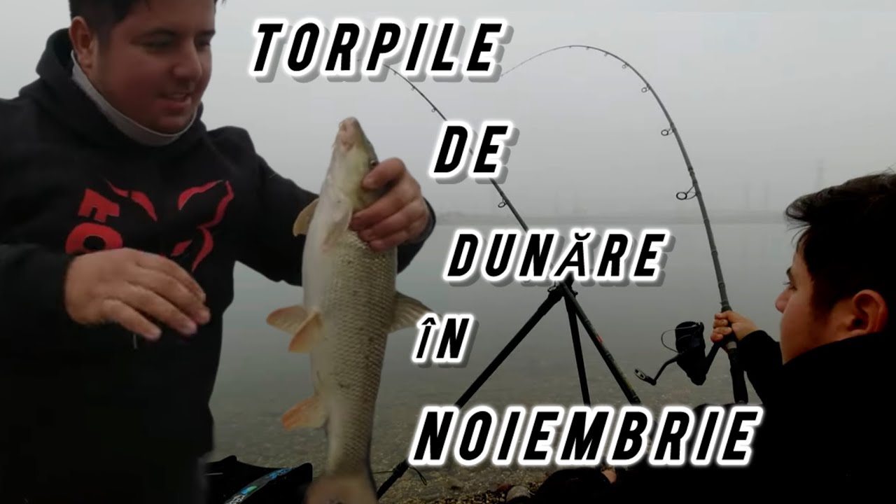 🏆❤️PESCUIT la FEEDER după TORPILELE DUNĂRII  🐟🏆!! 🥶🫣Final cu surprize 🥶🫣