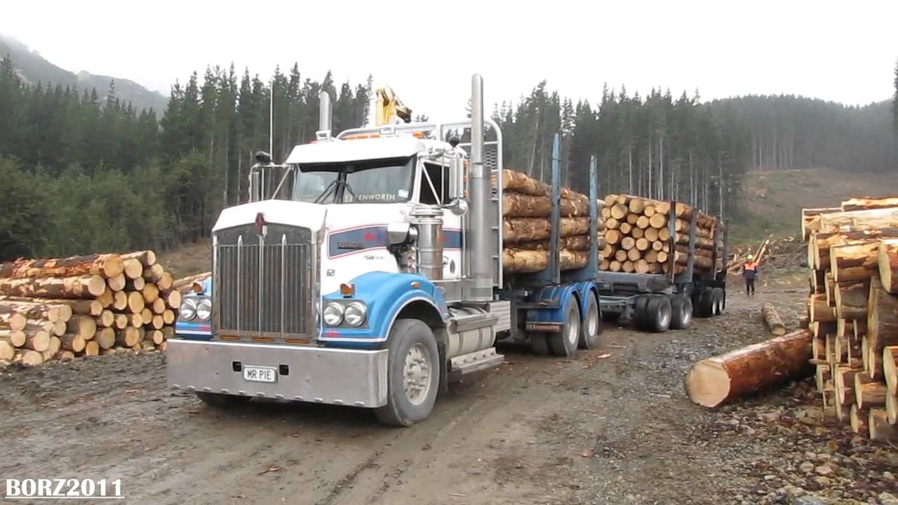 Mark Amer Transport