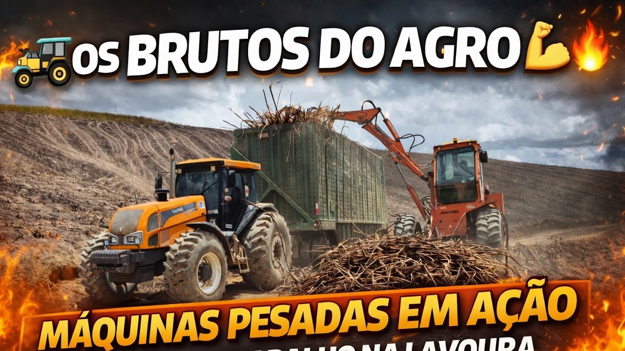 Último carregamento de cana de açúcar da safra 2025/2026 , Usina Coopervales 