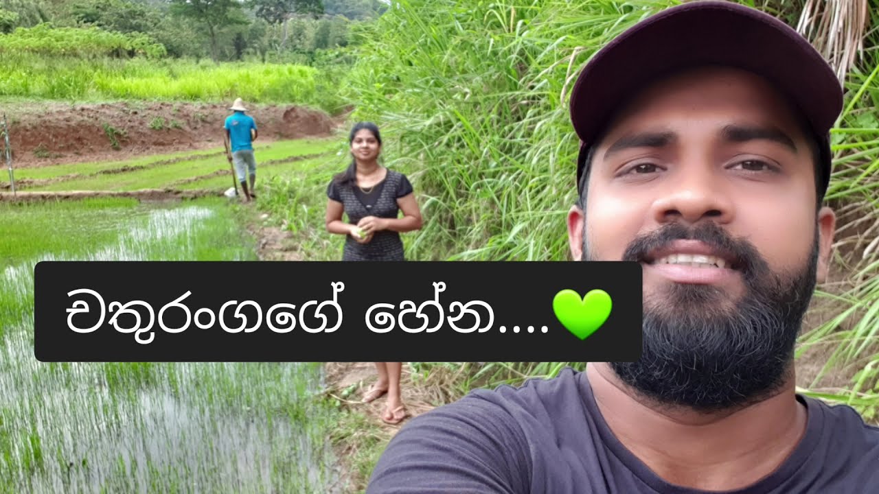 Village life in Srilanka 🇱🇰 | චතුරංගගේ හේන | Farm in jungle | Trip Eka  .