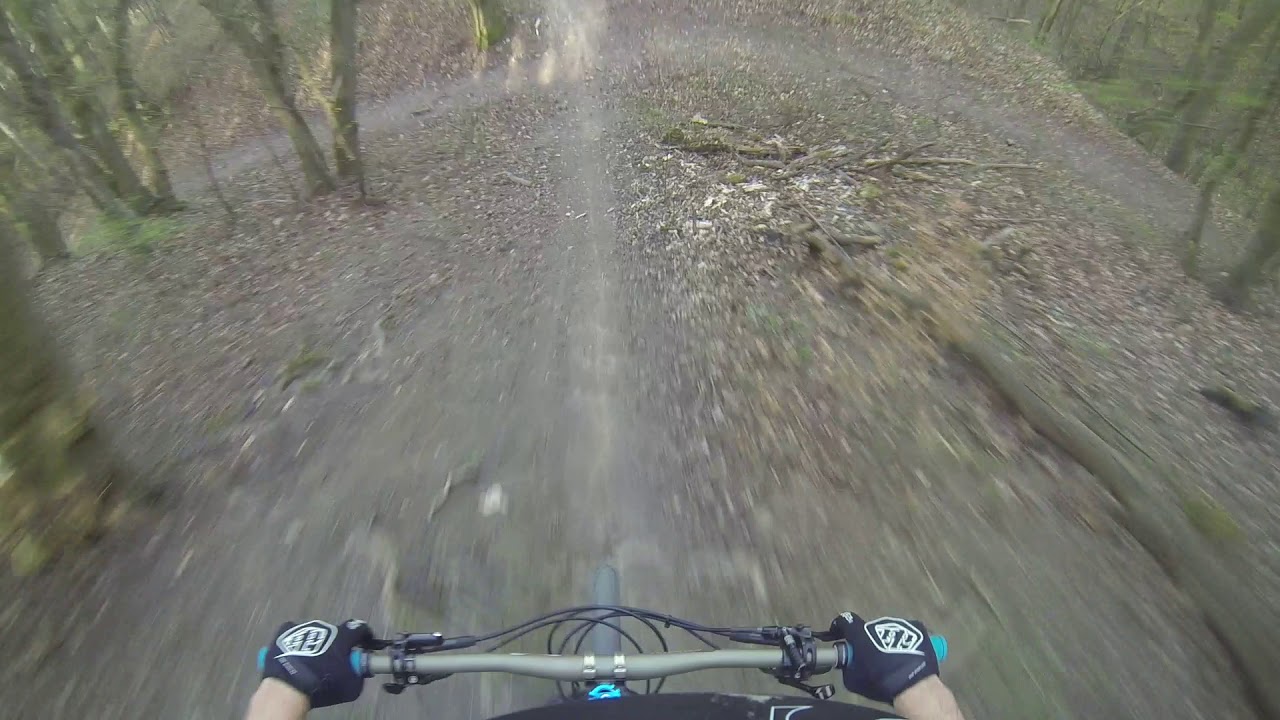 Roller Coaster Trail - Enduro MTB - Vienna Austria - Dan Roberts
