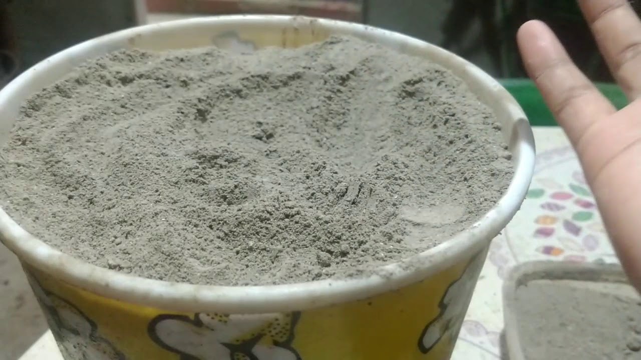 Piolho de Galinha: Remédio natural e sem custo.