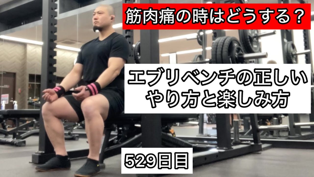 エブリベンチの正しいやり方と楽しみ方『エブリベンチ529日目』