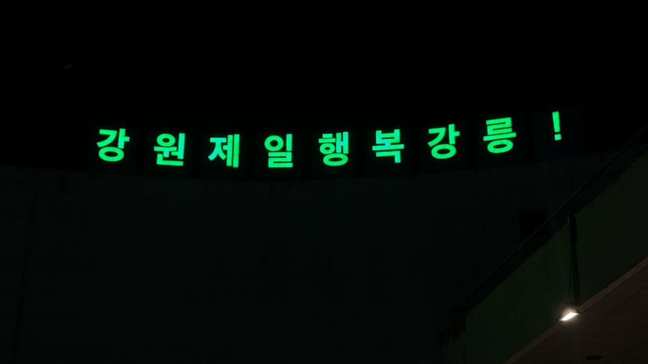 26년 2월 첫째주 일상: 강릉 탐방기, 대만 친구 방문, 신포국제시장, 배다리헌책방거리, 공간 운솔, 함영훈 개인전 - 동굴과 물웅덩이