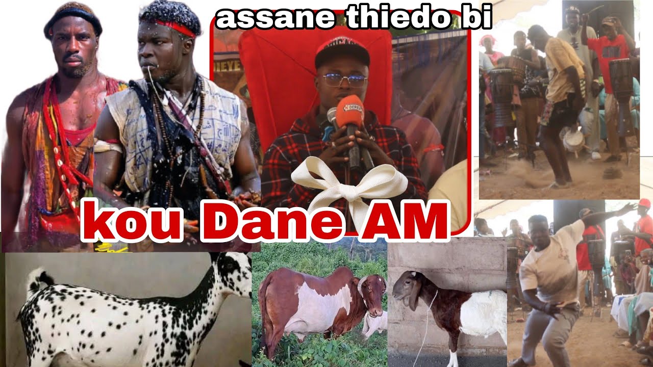 Assane thiedo bi borom lambaye wakhna loumou tegal mbeur yi kou Dane Nala diokh.. 