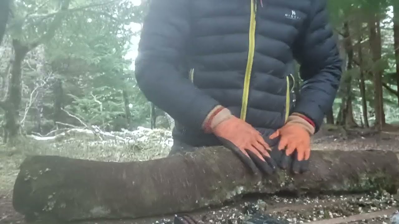 Woodland Mushroom Cultivation - inoculating logs with dowel spawn (McKay Mountain Mushrooms) 