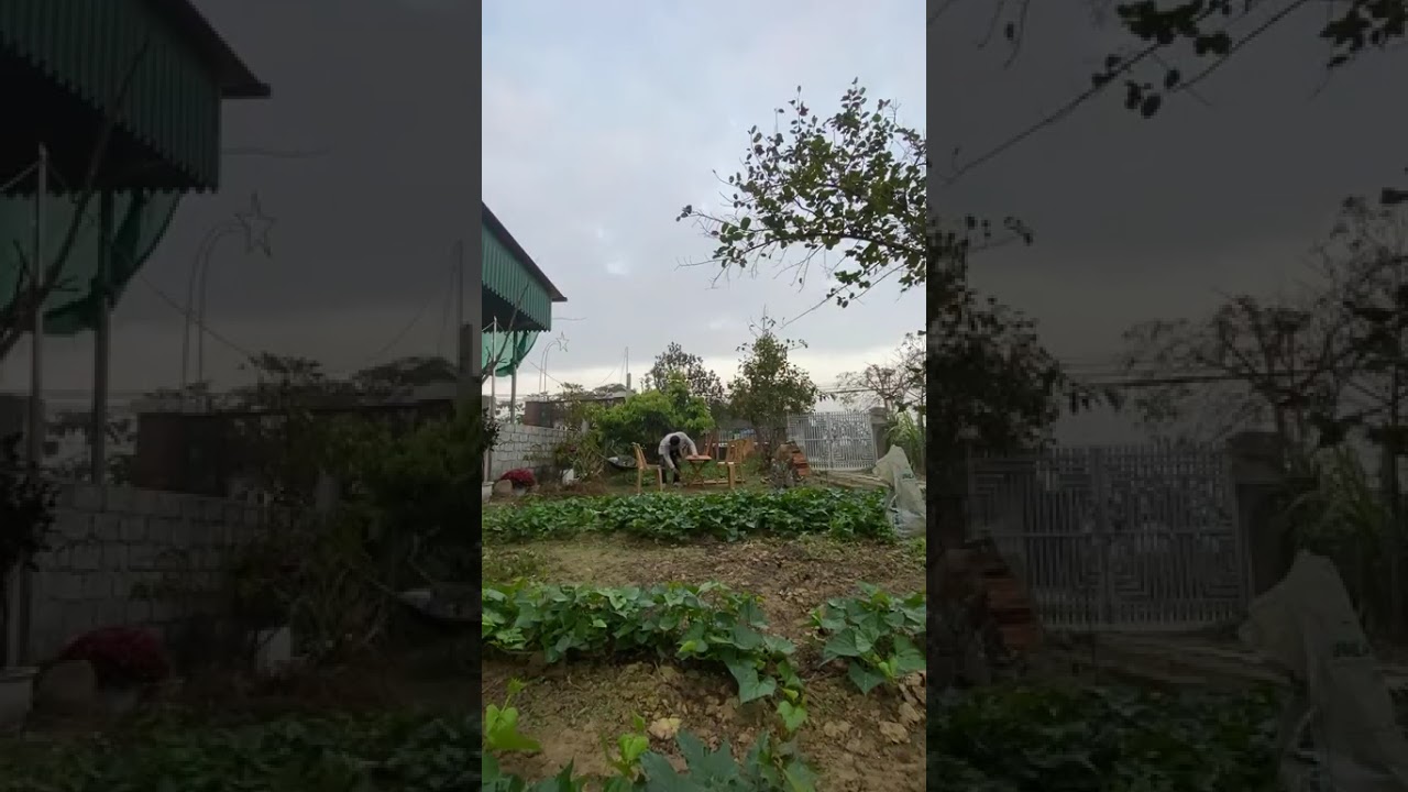 Chú Tôn Phi làm thước kẻ bằng gỗ cho cô giáo Thảo Ngốc ở Vũng Tàu dạy học.