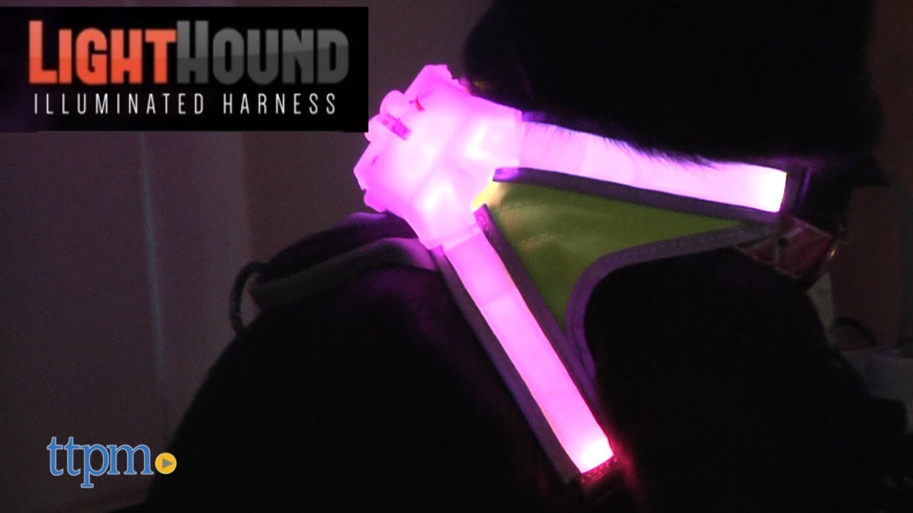 Light Hound Visibility Vest from Noxgear