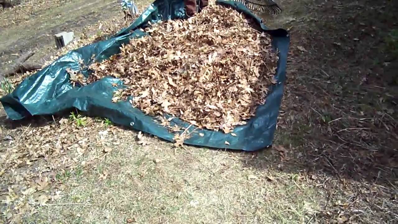 Lawn Care. Quick Easy Leaf Pick-Up. Rake & Move Huge Piles Fast and Cheap