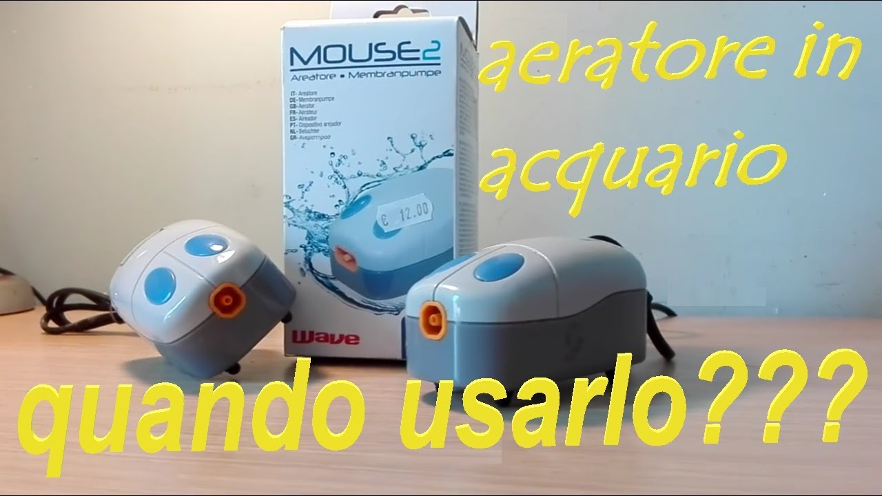 aeratore in acquario, quando e perché?