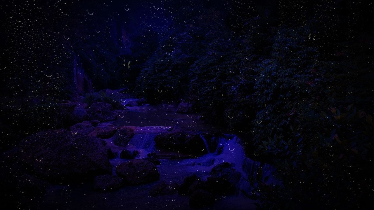 Dimmed Screen Rain Sounds 🌧️ River Ambience for Better Sleep and Faster