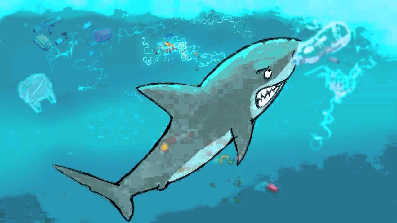 shark against plastic