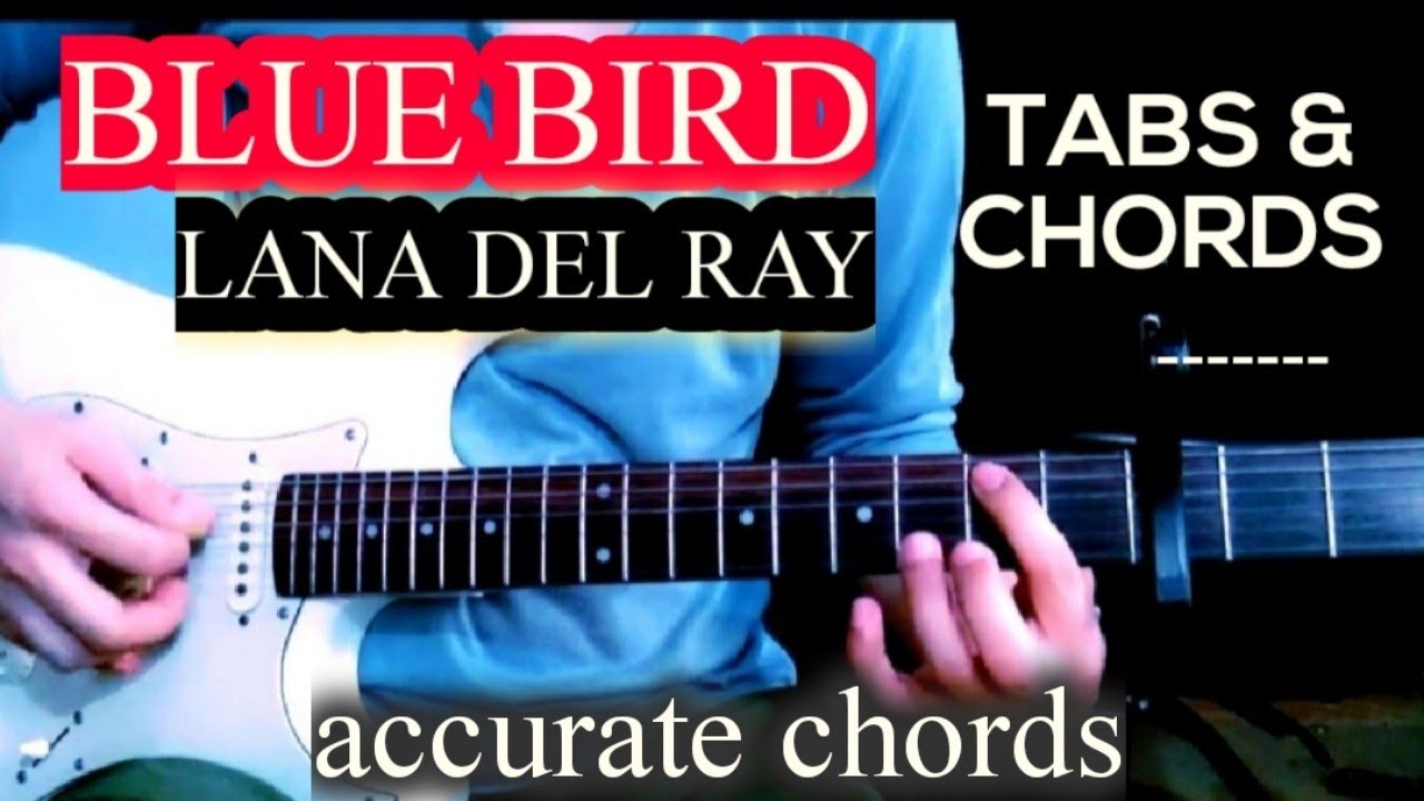 LANA DEL RAY - BLUE BIRD / GUITAR CHORDS TABS TUTORIAL  #lanadelreymusic