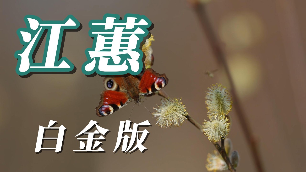 （江蕙）（台）（白金版）謝謝朋友們💩💩💩💩💩