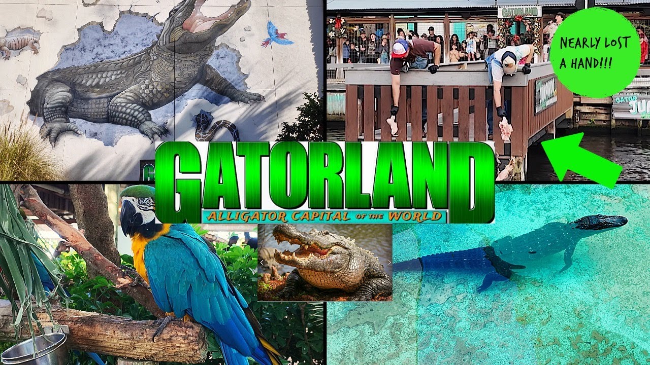 Wild Adventures at GATORLAND 🐊 + Touring Our Dream Home 🏡 + Final Day Stroll in Celebration, FL 🌴✨